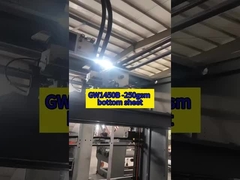 GW1450B - 250 gm Unterblatt